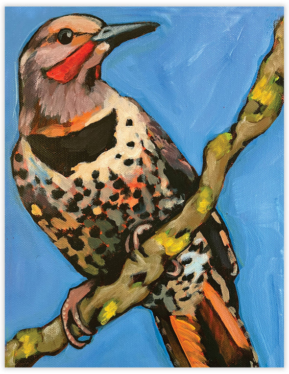 Northern Flicker Blank Notecard