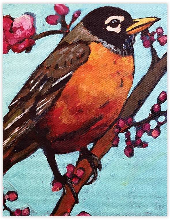 American Robin Blank Notecard